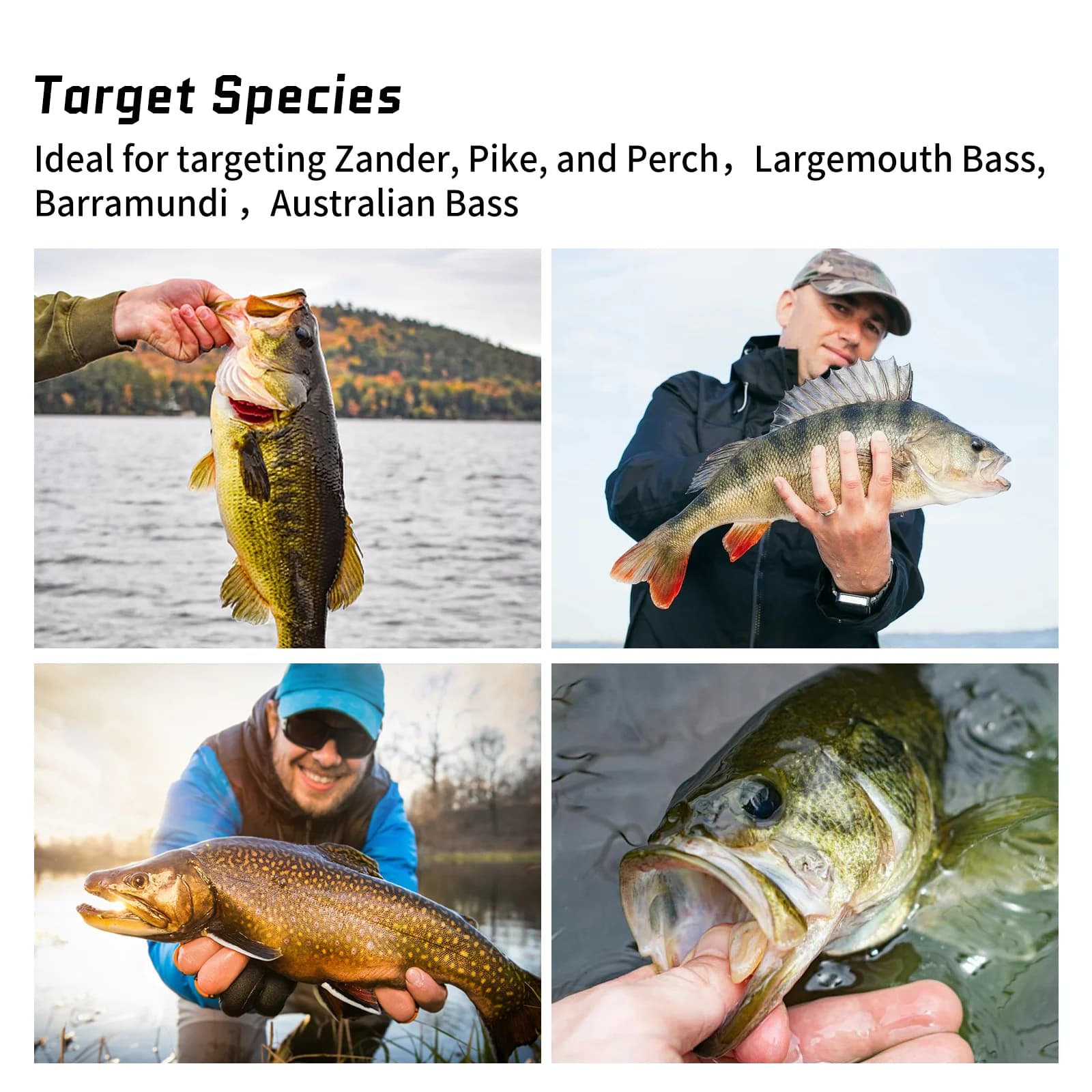 Gewichteter Swimbait-Haken mit Underspin, 12er-Pack